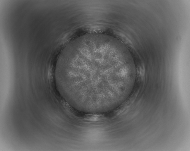 X0000112940663200909141348