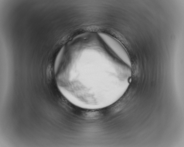 X0000112940669200909141348