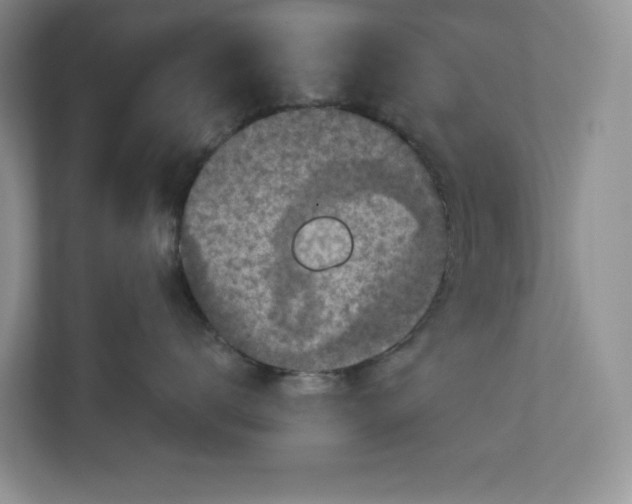 X0000112940672200909141348