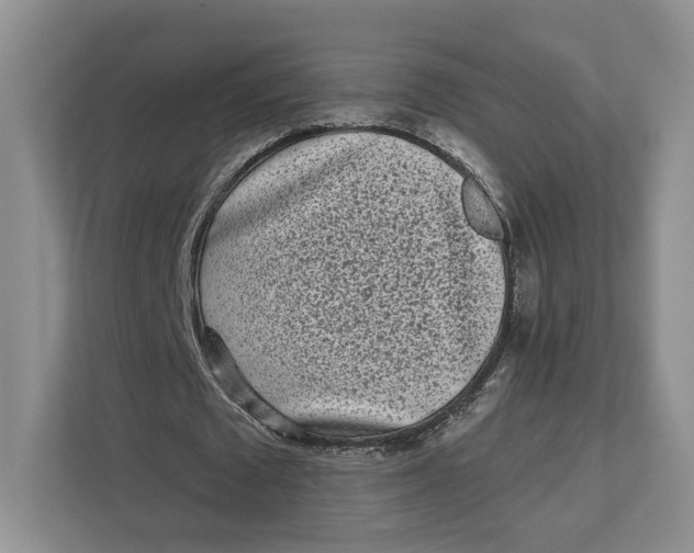 X0000112940673200909141347