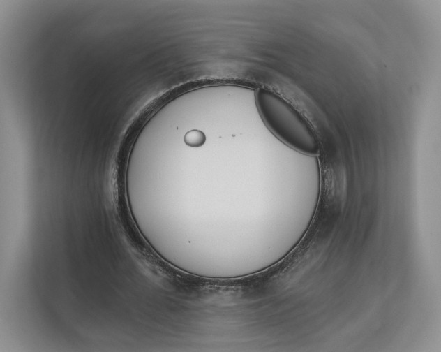 X0000112940676200909141347