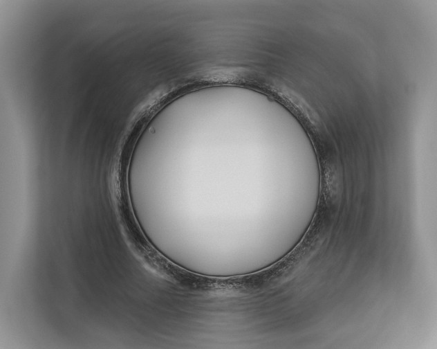 X0000112940682200909141347