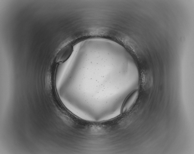 X0000112940684200909141347