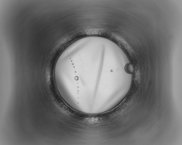 X0000112940687200909141347