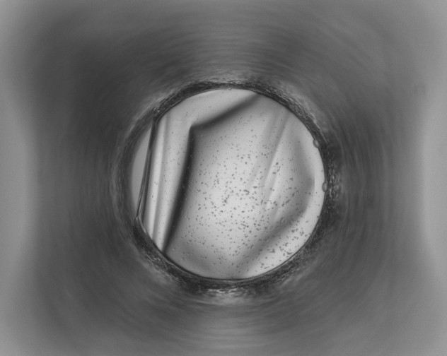 X0000112940688200909141347