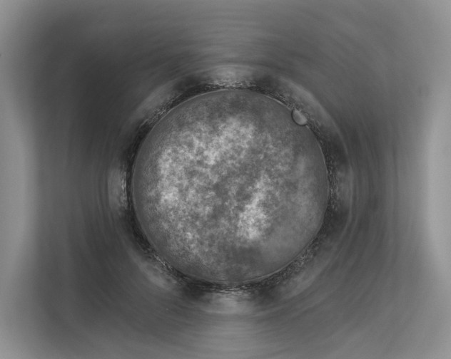 X0000112940696200909141347