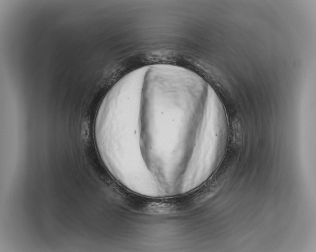 X0000112940699200909141347