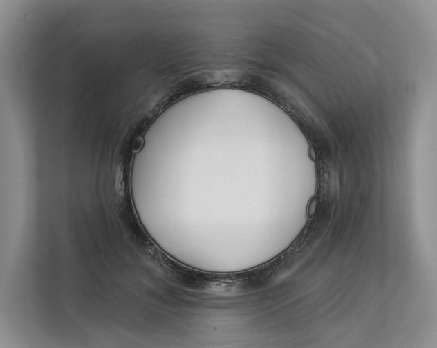 X0000112940700200909141347