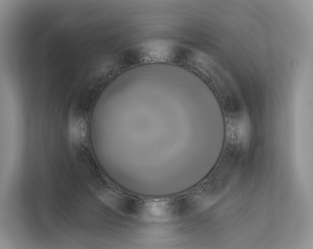 X0000112940701200909141347