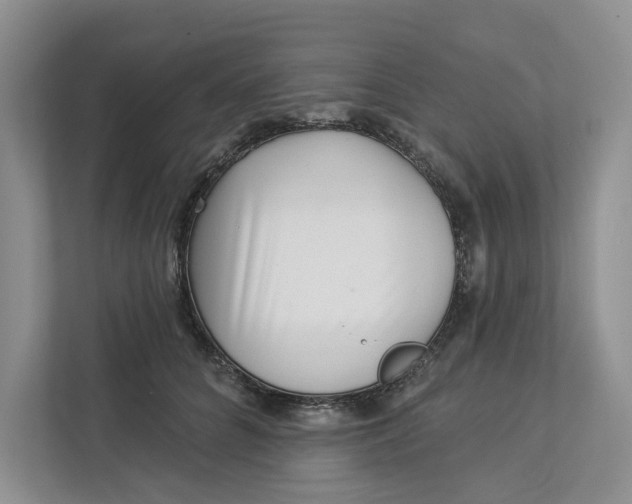 X0000112940704200909141347