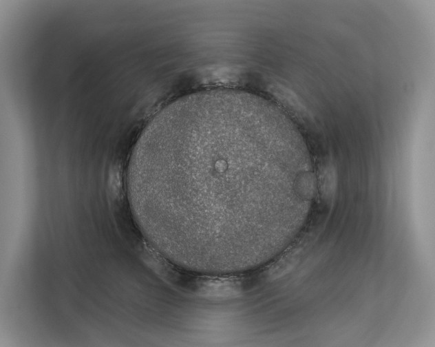 X0000112940709200909141347
