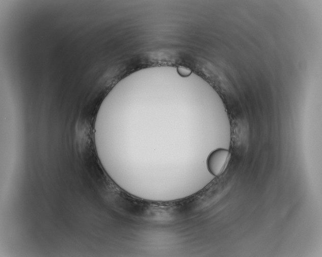 X0000112940713200909141347