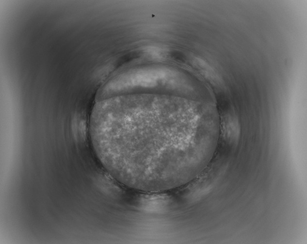 X0000112940716200909141347