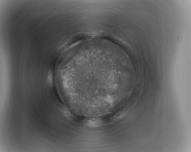 X0000112940720200909141347