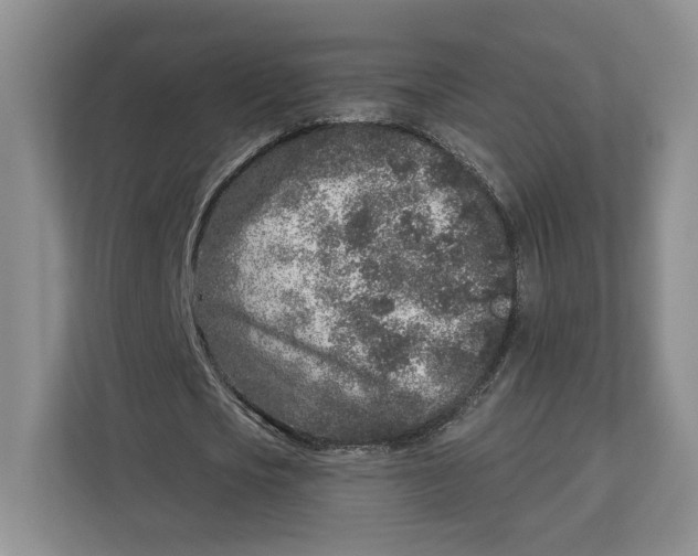 X0000112940721200909141346