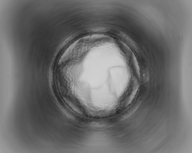 X0000112940725200909141346
