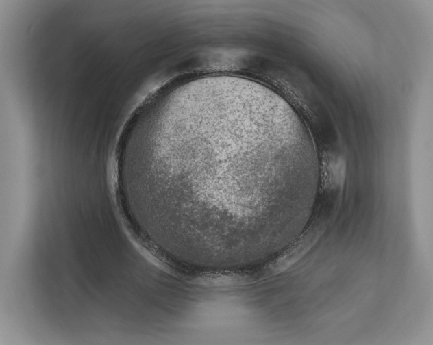 X0000112940726200909141346