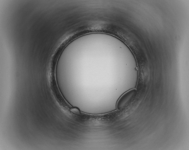 X0000112940728200909141346