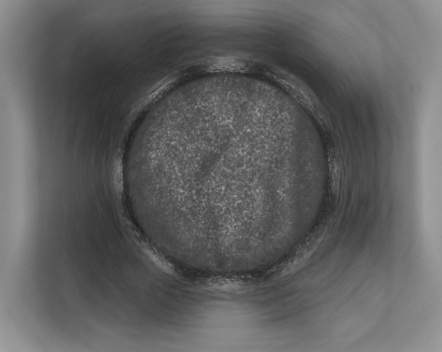 X0000112940729200909141346