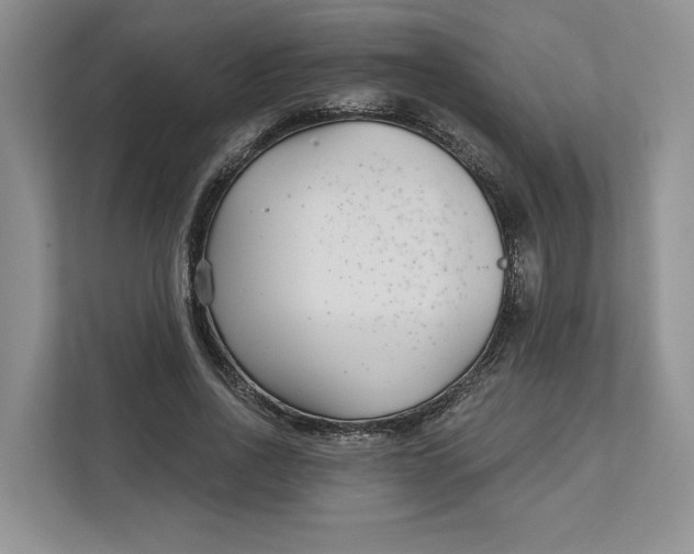 X0000112940734200909141346