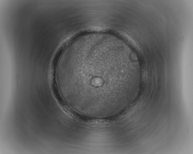 X0000112940736200909141346