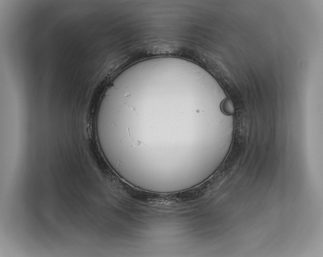 X0000112940743200909141346