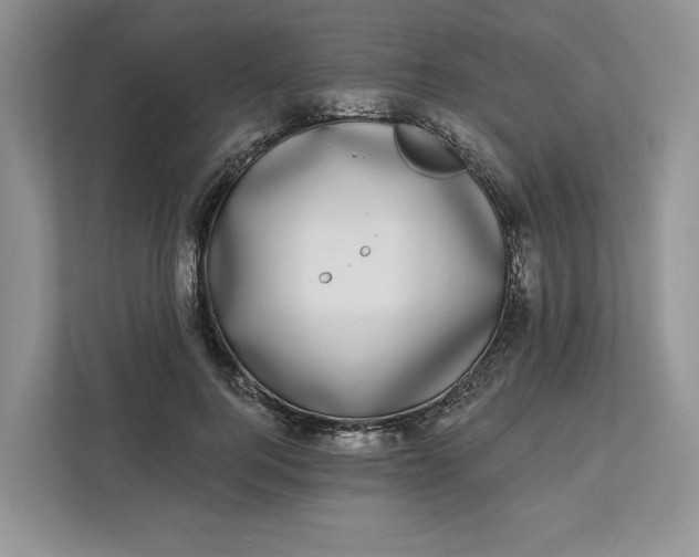 X0000112940744200909141346