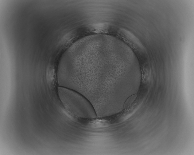 X0000112940748200909141347