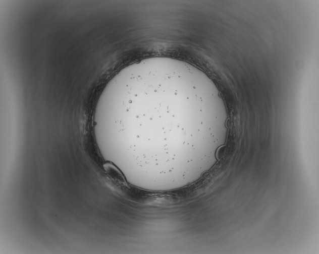 X0000112940750200909141347