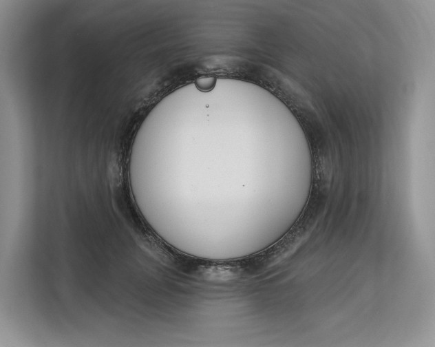 X0000112940751200909141347
