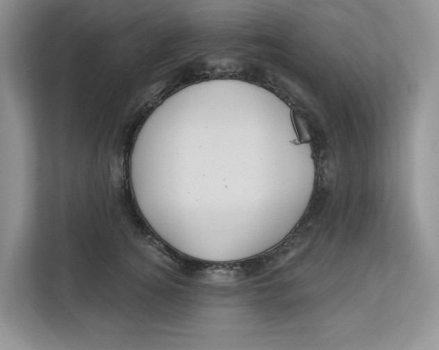X0000112940756200909141347