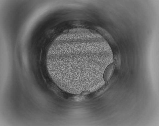 X0000112940762200909141347