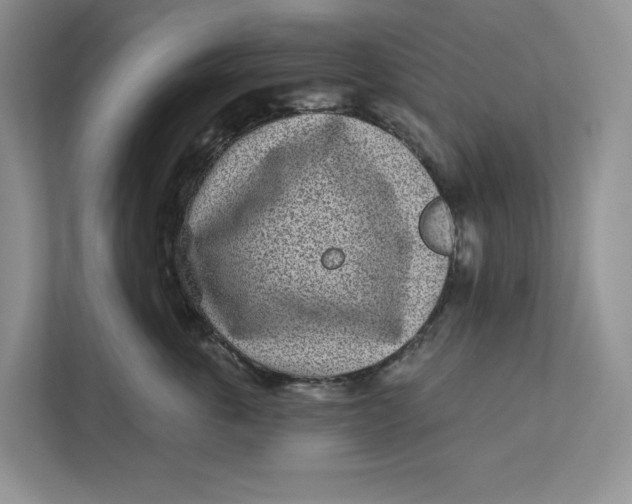 X0000112940763200909141347