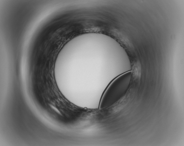X0000112940764200909141347