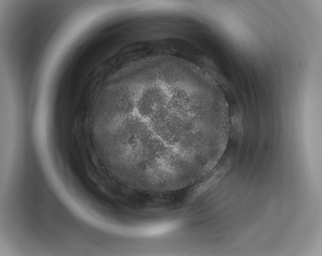X0000112940765200909141347