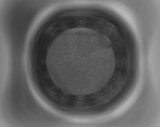 X0000112940766200909141347