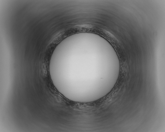 X0000112940774200909141346