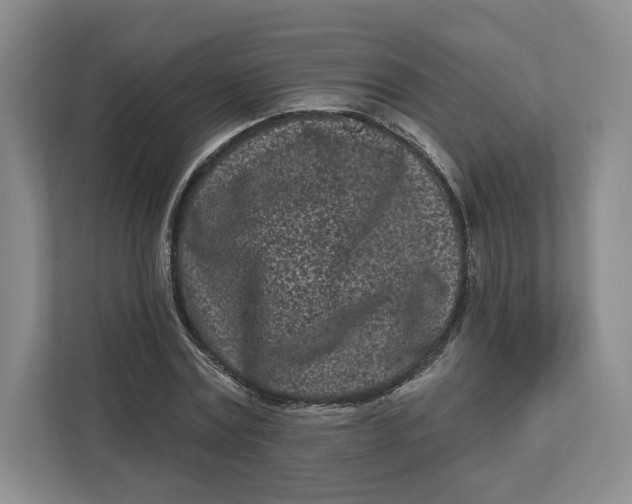 X0000112940779200909141346