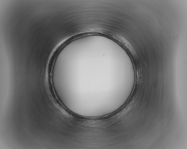 X0000112940780200909141346