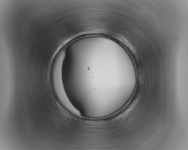 X0000112940781200909141346