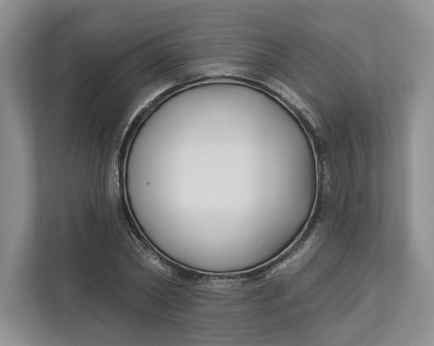 X0000112940782200909141346