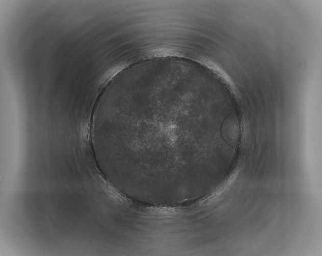 X0000112940785200909141346