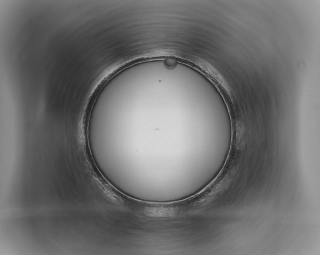 X0000112940789200909141346
