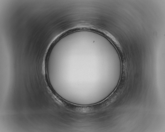 X0000112940791200909141346