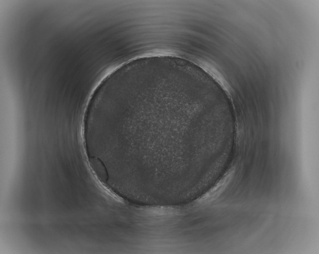 X0000112940797200909141346