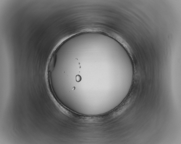 X0000112940803200909141346