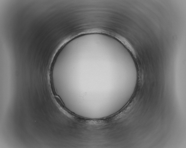 X0000112940805200909141346