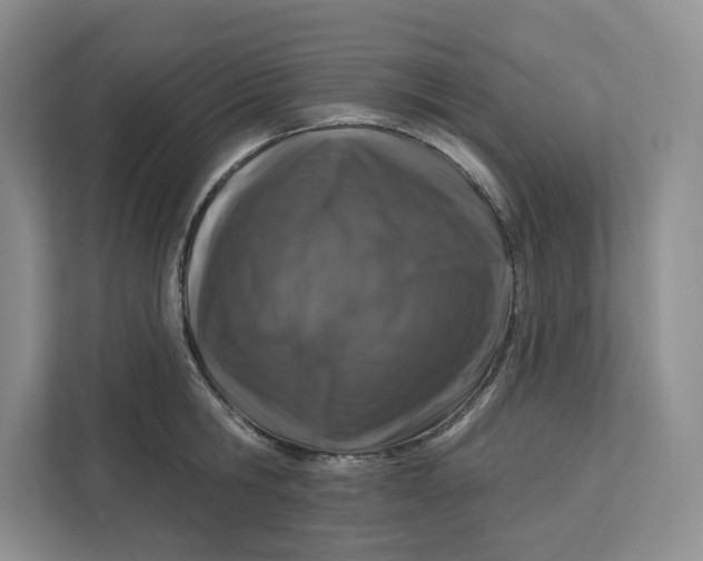 X0000112940806200909141346