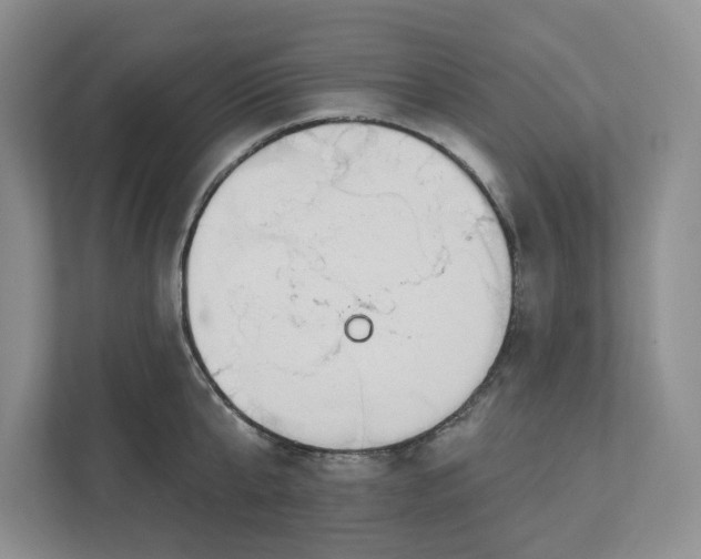 X0000112940807200909141346