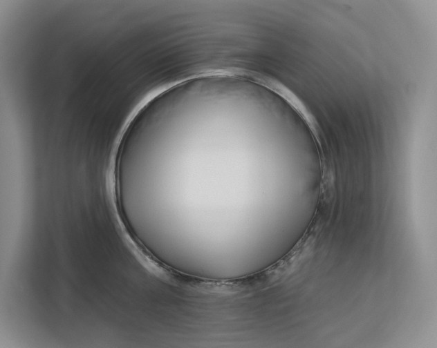 X0000112940811200909141346